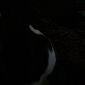 Meet your Posher, Tammara